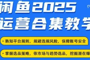 2025闲鱼电商运营全集，2025最新咸鱼玩法