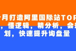 4个月打造阿里国际站TOP店铺，懂逻辑，精分析，会规划，快速提升询盘量