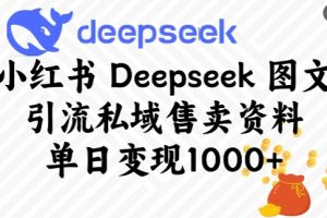 小红书Deepseek图文引流私域售卖资料，单日变现多张